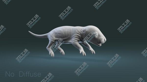 images/goods_img/20210312/Rat Baby Newborn Collection model/5.jpg